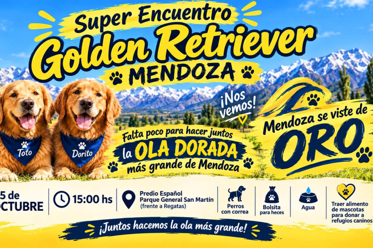 social