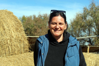 social