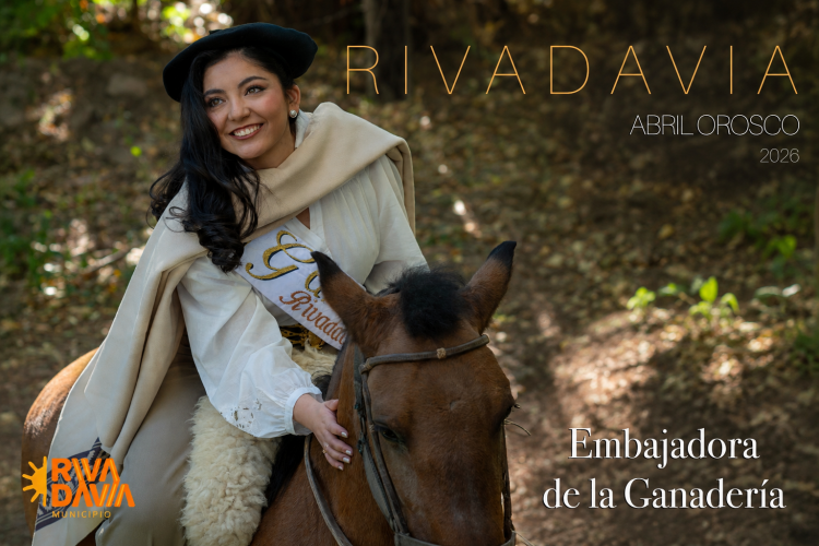 social