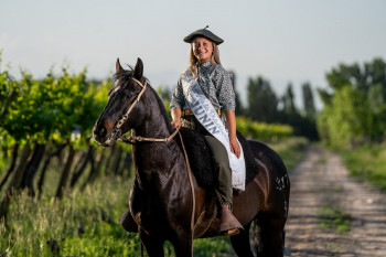 social